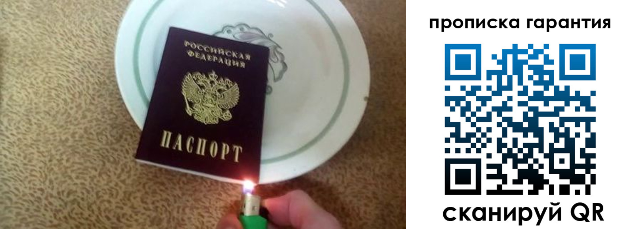 прописка гарантия в Камешково